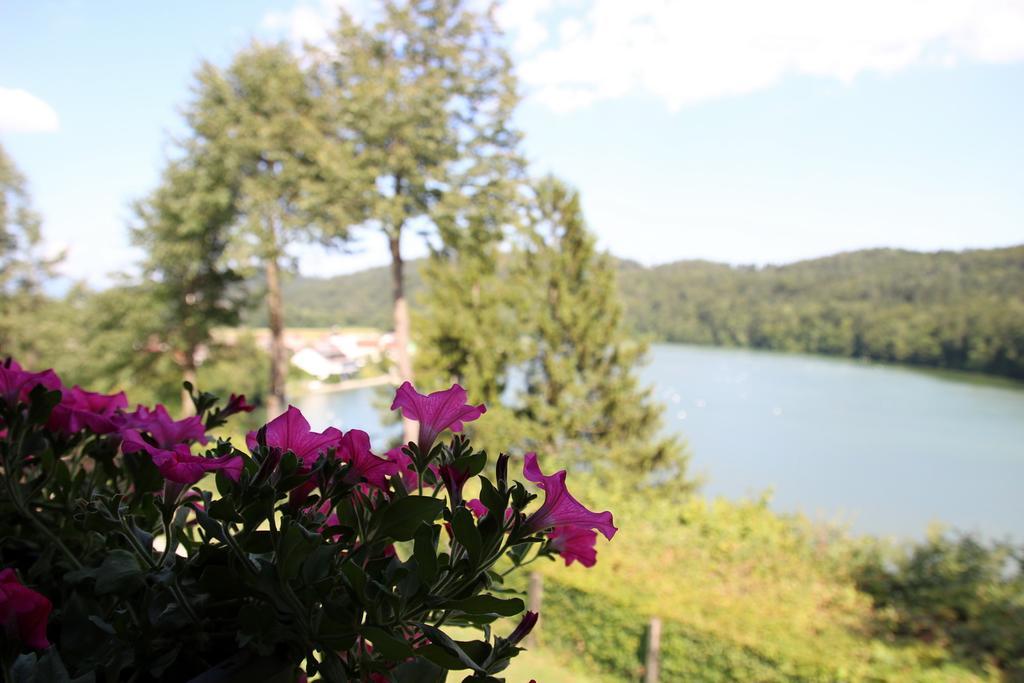 Lake House Apartment Medvode Exterior photo
