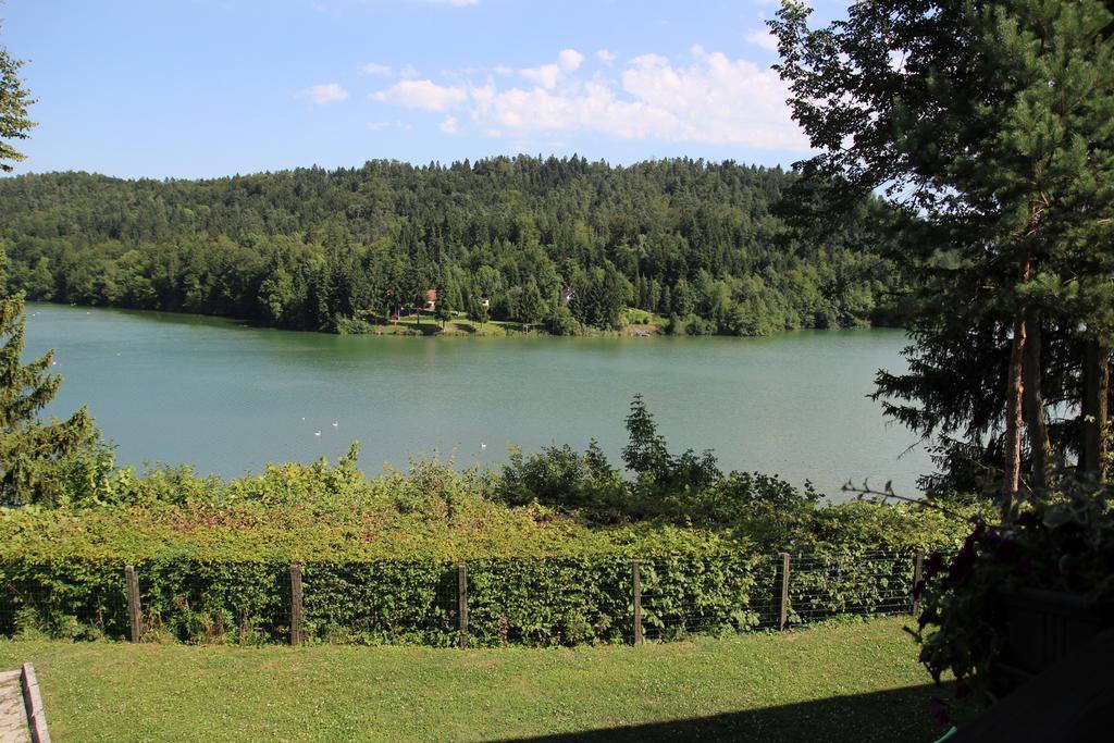 Lake House Apartment Medvode Exterior photo
